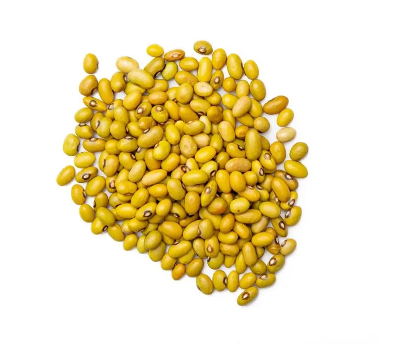 Quality control inspection of yellow beans